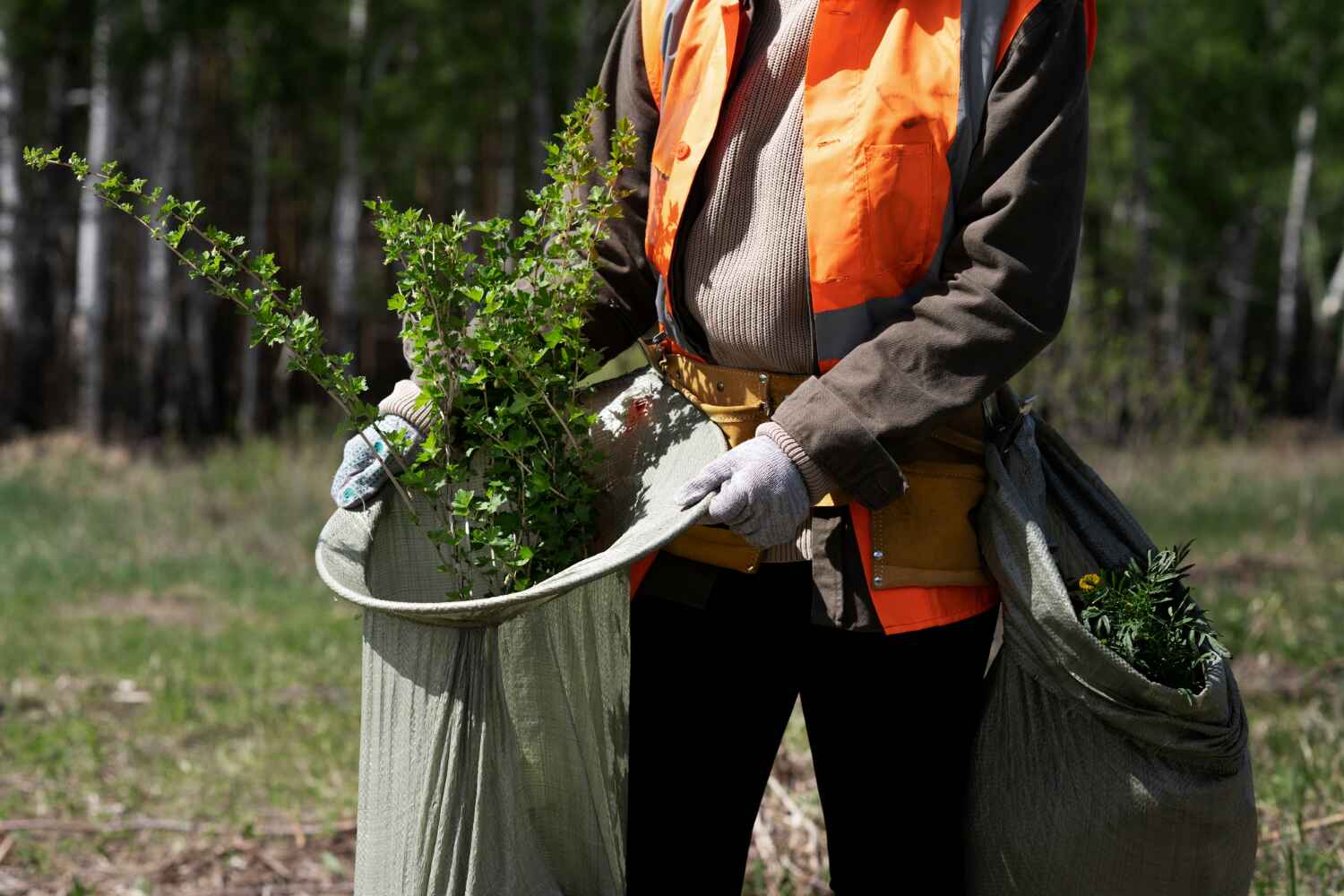 Falfurrias, TX Tree Service Company